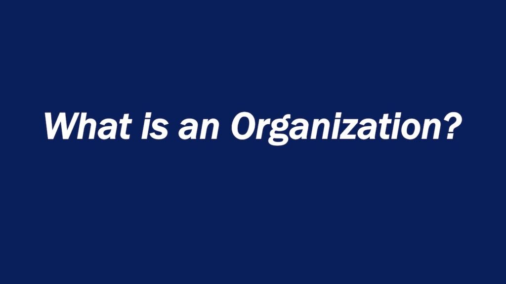 What is organization and its types