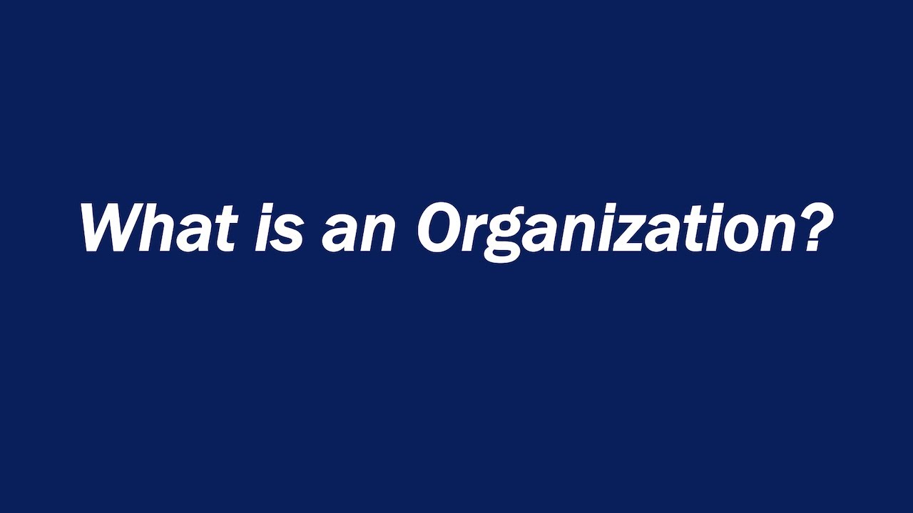 Understanding Organization and Its Types