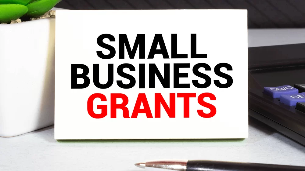 What Are Small Business Grants: How it Works in 2024